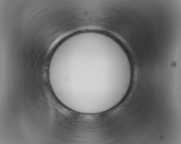 X0000112101266200908041104