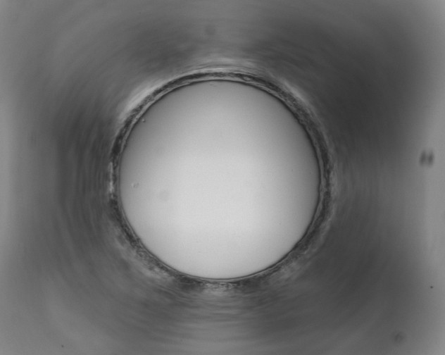 X0000112101267200908041104