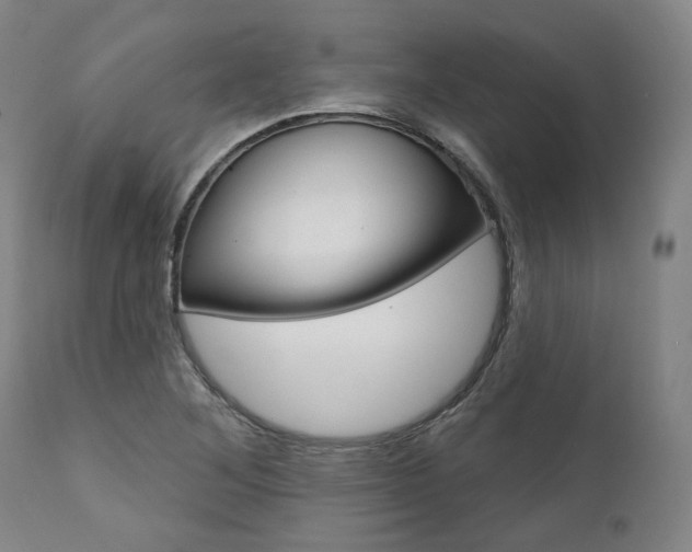 X0000112101268200908041104