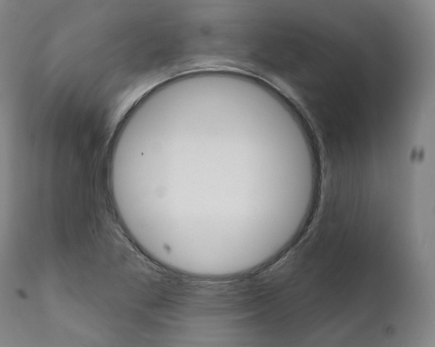 X0000112101269200908041104