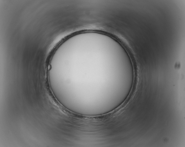 X0000112101270200908041104