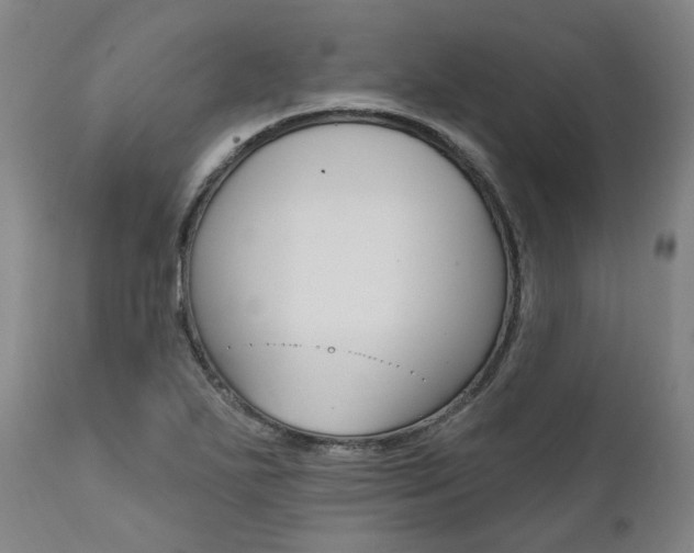 X0000112101271200908041104
