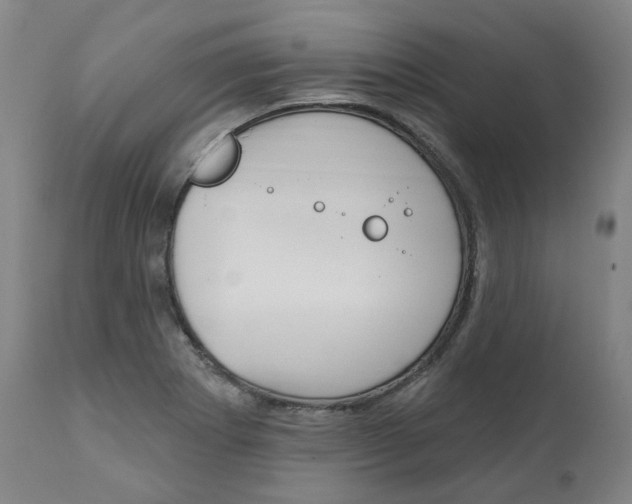 X0000112101273200908041104
