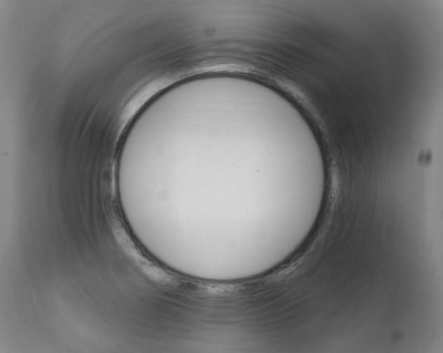X0000112101274200908041104