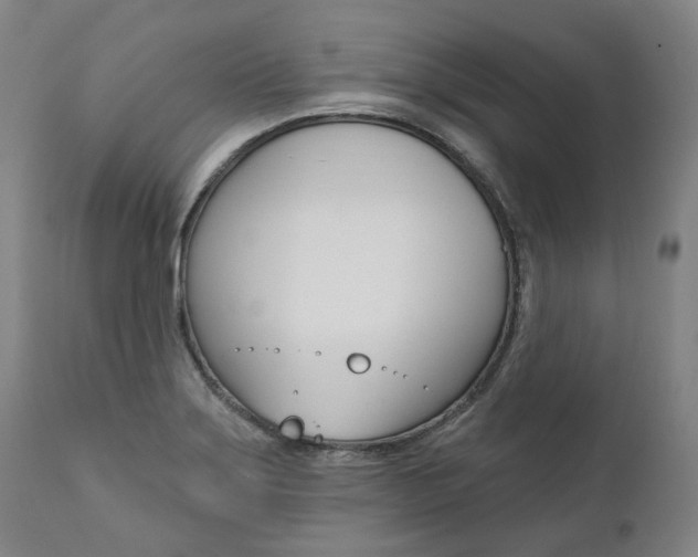X0000112101275200908041104