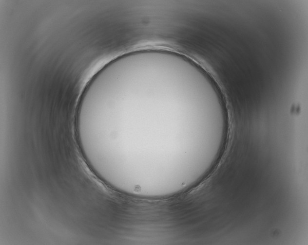 X0000112101277200908041104