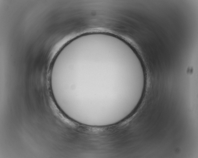 X0000112101278200908041104