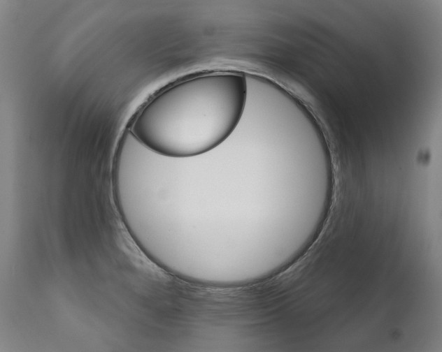 X0000112101280200908041104