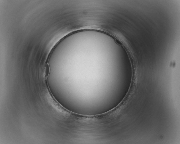 X0000112101284200908041104