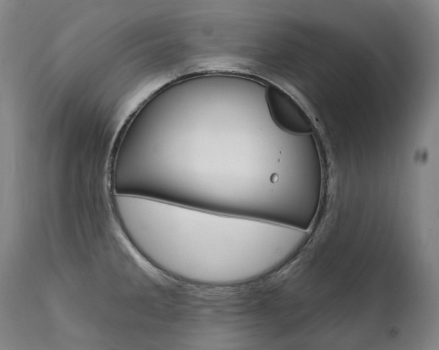X0000112101285200908041104