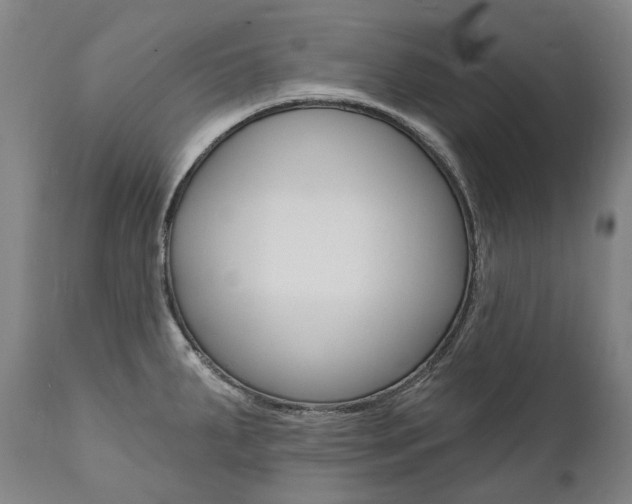 X0000112101287200908041104