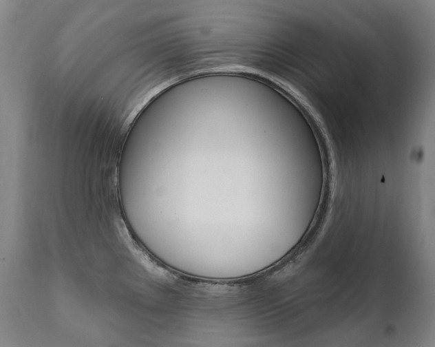 X0000112101289200908041104