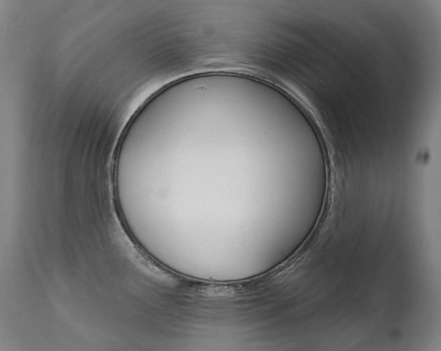 X0000112101291200908041104