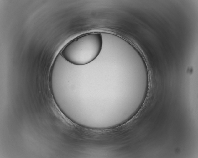 X0000112101292200908041104