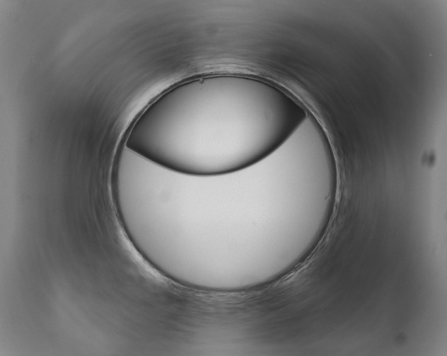 X0000112101293200908041104