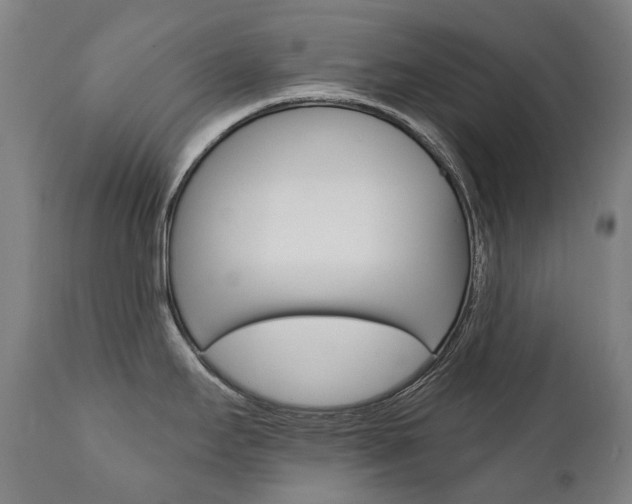 X0000112101295200908041104