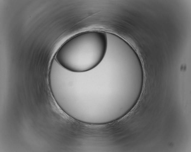 X0000112101296200908041104