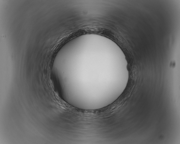 X0000112101297200908041103