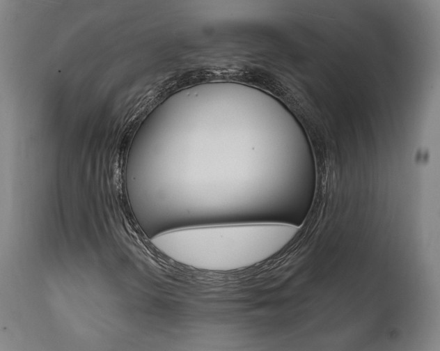 X0000112101298200908041103