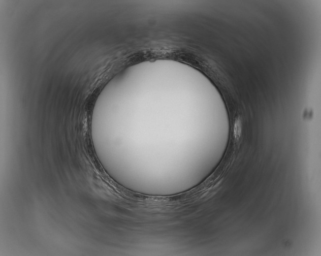 X0000112101299200908041103