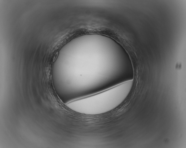 X0000112101300200908041103