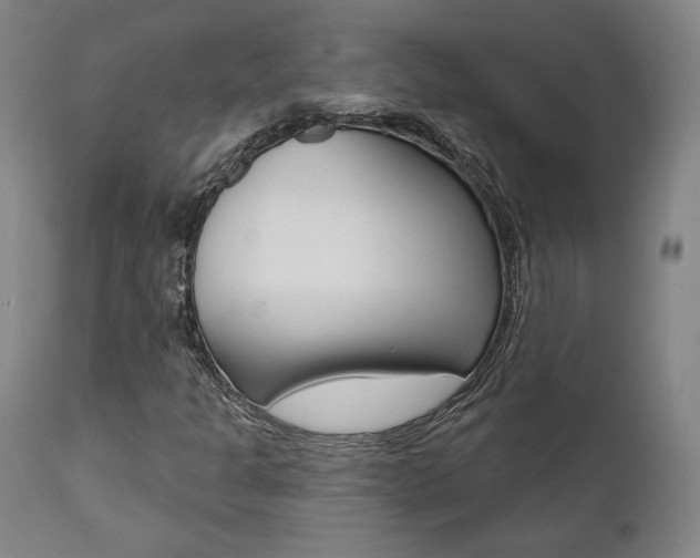 X0000112101301200908041103
