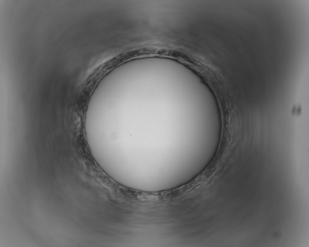 X0000112101302200908041103