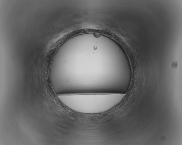 X0000112101303200908041103