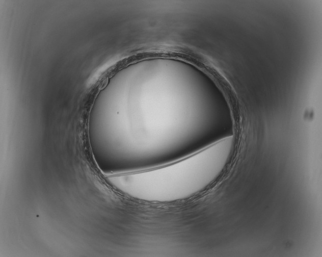 X0000112101304200908041103