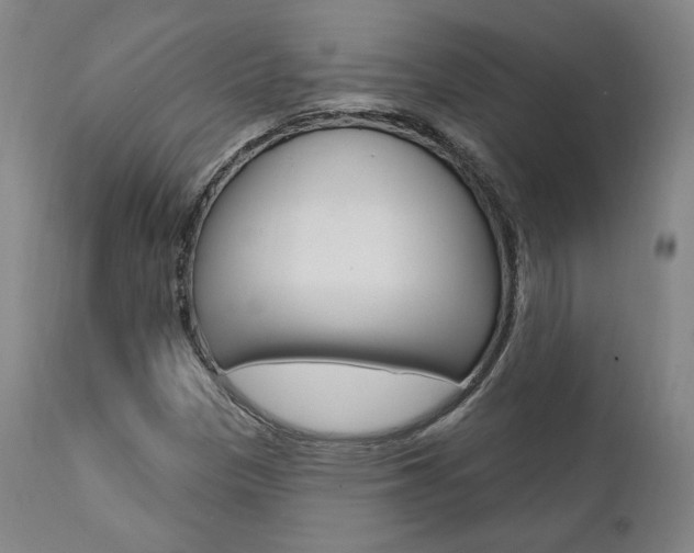 X0000112101305200908041103