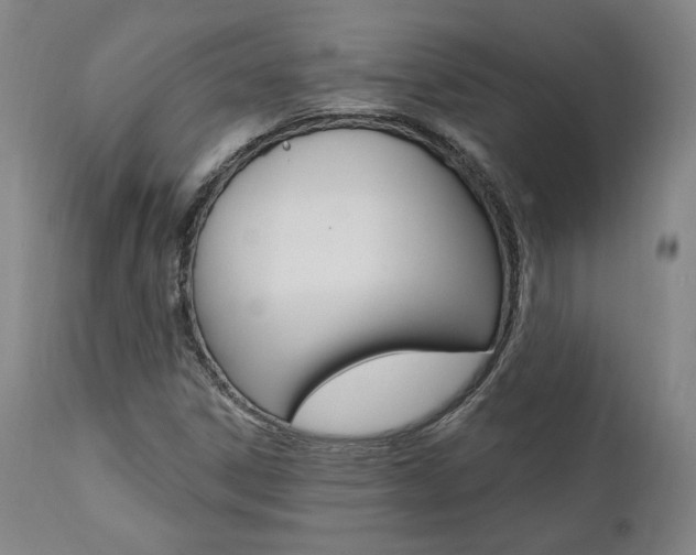 X0000112101306200908041103