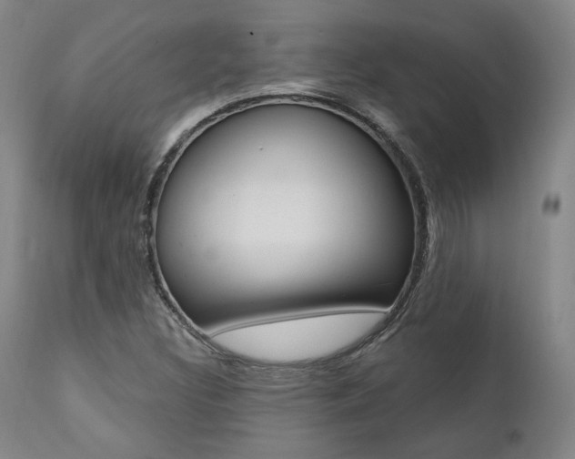 X0000112101308200908041103