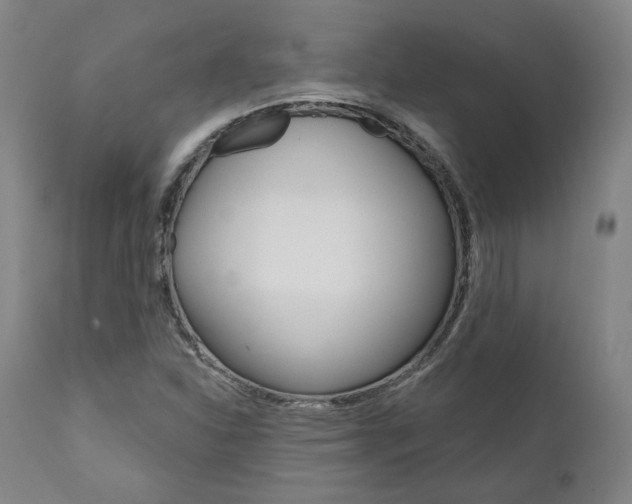 X0000112101310200908041103