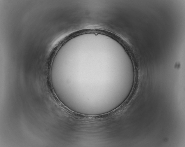 X0000112101311200908041103