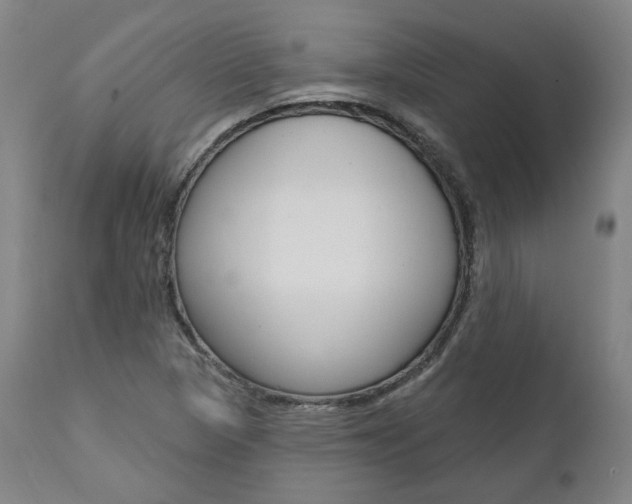 X0000112101313200908041103