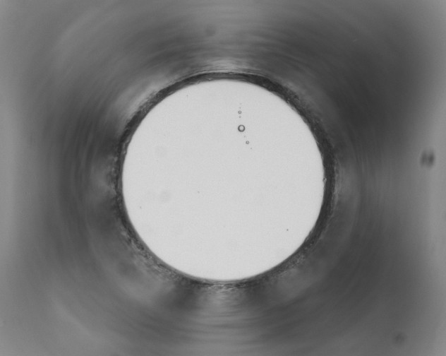 X0000112101314200908041103