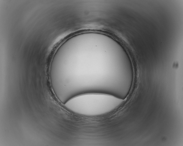 X0000112101315200908041103