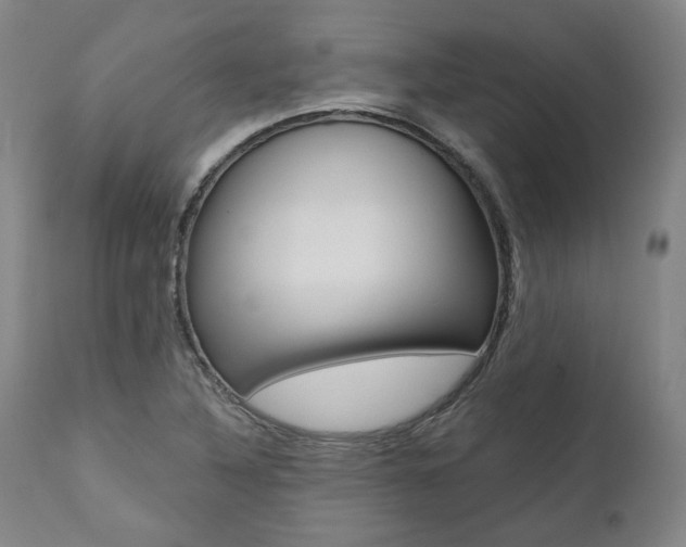 X0000112101316200908041103