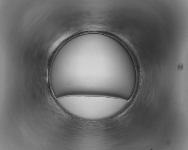 X0000112101317200908041103