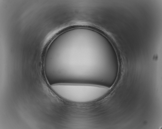 X0000112101319200908041103