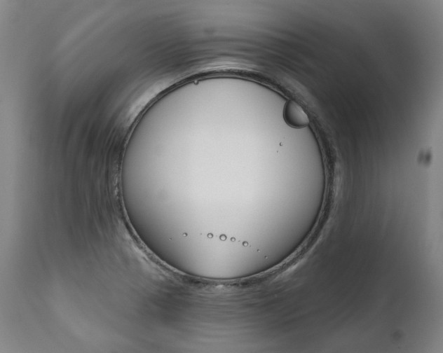 X0000112101321200908041103