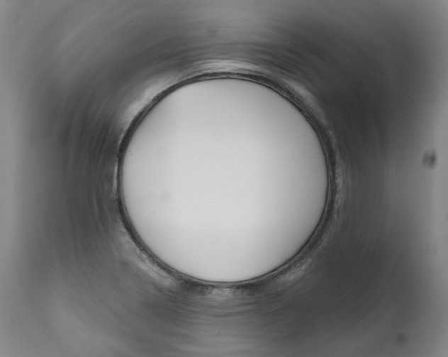 X0000112101322200908041103