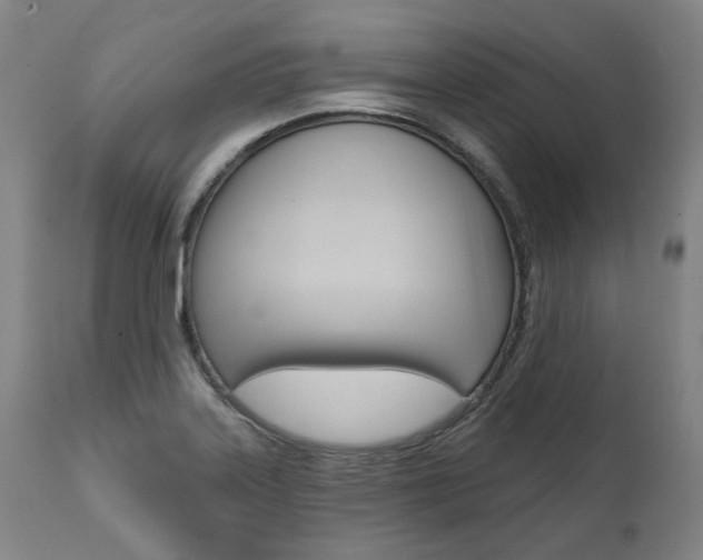 X0000112101323200908041103