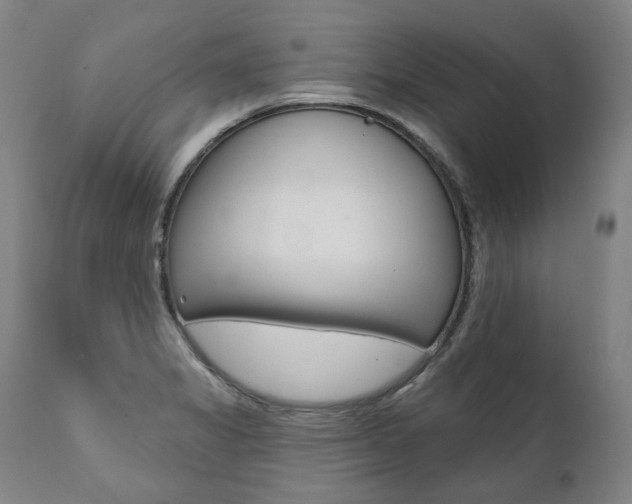 X0000112101325200908041103