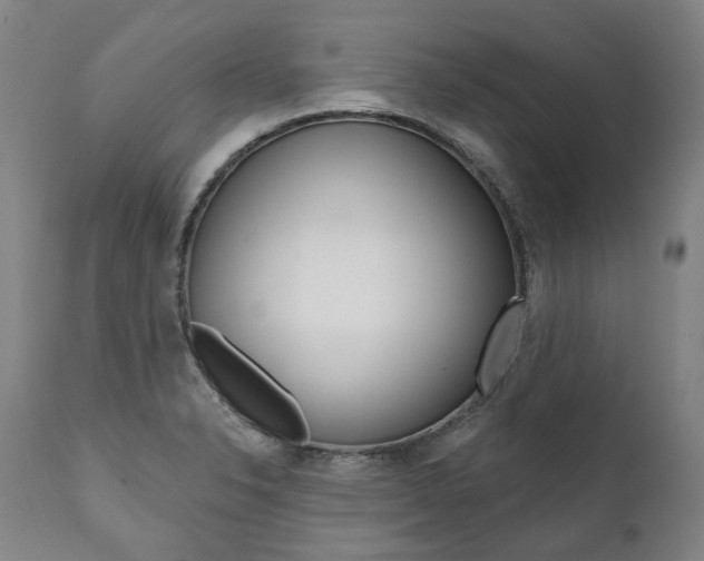 X0000112101326200908041103