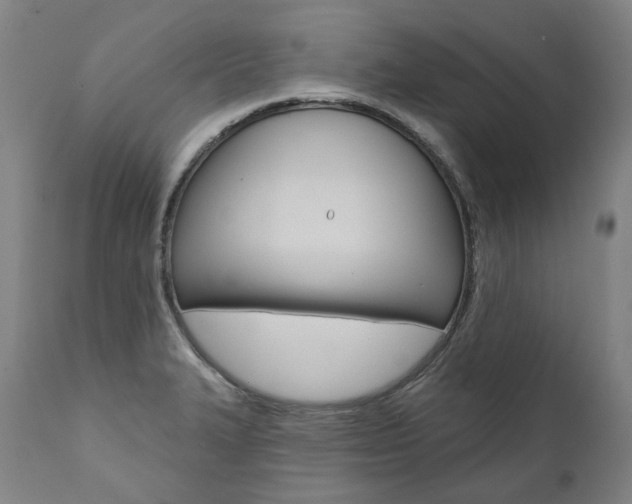 X0000112101327200908041103