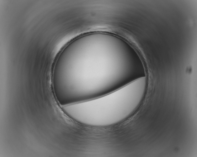 X0000112101328200908041103