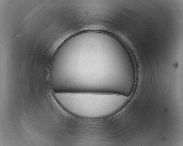 X0000112101329200908041103