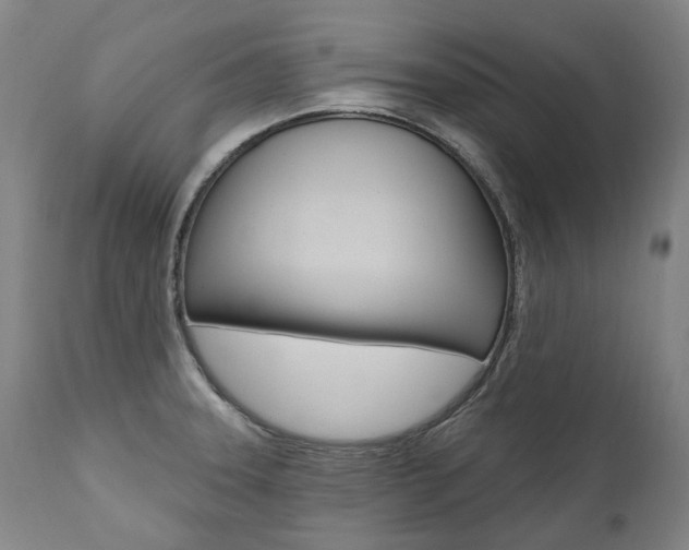 X0000112101331200908041103