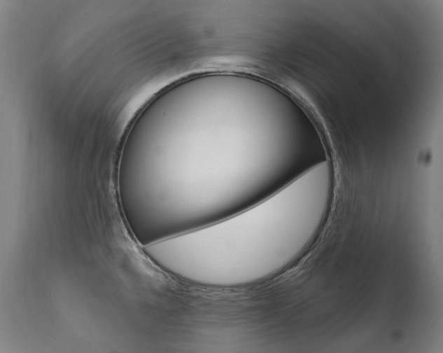 X0000112101336200908041103